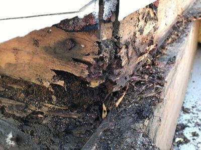 Professional 24 hour water damage restoration services in Indiantown